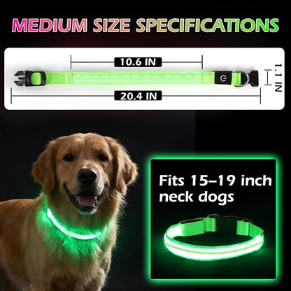 LED Light Up Dog Collar for Night Walking, Rechargeable Safety Glow Illuminated Collar with 3 Modes Flashing, Reflective Adjustable Pet Light for Small/Medium Dogs Puppy 15-19" Neck 1 Pack (Green)