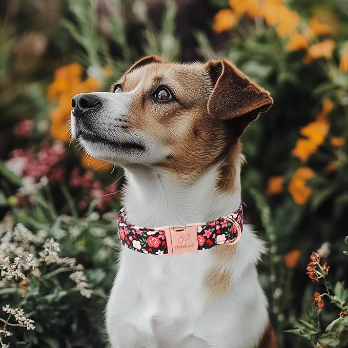 Floral Dog Collar - Rose Red Wild Flowers Pattern Cute Puppy Collar, Adjustable Winter Holiday Metal Buckle Dog Collars for Small Medium Large Dogs XL