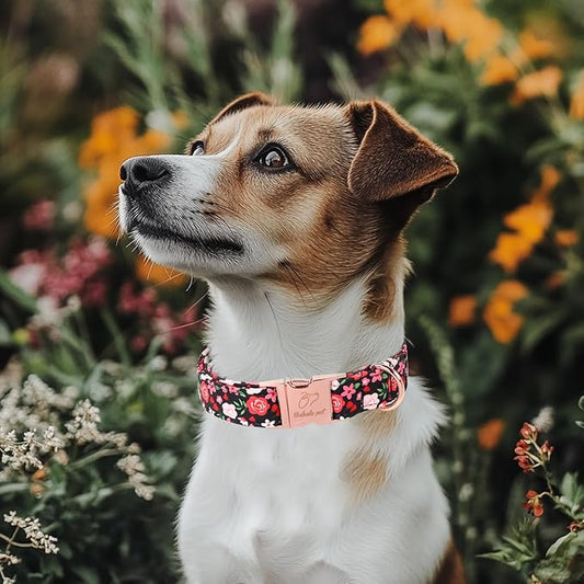 Floral Dog Collar - Rose Red Wild Flowers Pattern Cute Puppy Collar, Adjustable Winter Holiday Metal Buckle Dog Collars for Small Medium Large Dogs XS