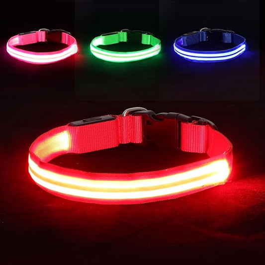 LED Light Up Dog Collar for Night Walking, Rechargeable Safety Glow Illuminated Collar with 3 Modes Flashing, Reflective Adjustable Pet Light for Small/Medium Dogs Puppy 15-19" Neck 1 Pack (Red)