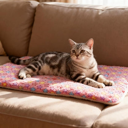2 Pack Cat Blankets for Indoor Cats, Ultra Soft Reversible Mat, Fluffy Flannel Blanket for Small Dogs and Cats, Washable Pet Pad