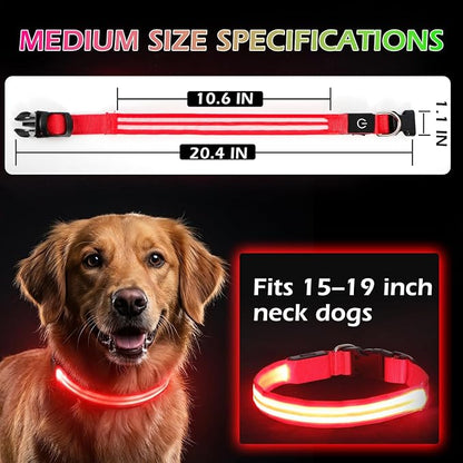 LED Light Up Dog Collar for Night Walking, Rechargeable Safety Glow Illuminated Collar with 3 Modes Flashing, Reflective Adjustable Pet Light for Small/Medium Dogs Puppy 15-19" Neck 1 Pack (Red)