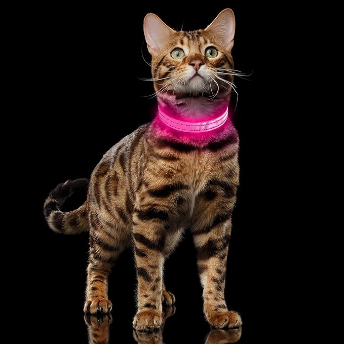 Illumifun LED Dog Collar, USB Rechargeable Light Up Collars, Adjustable Safety Collar Light for Small Dogs Cats Glow in The Dark (Pink, X-Small)