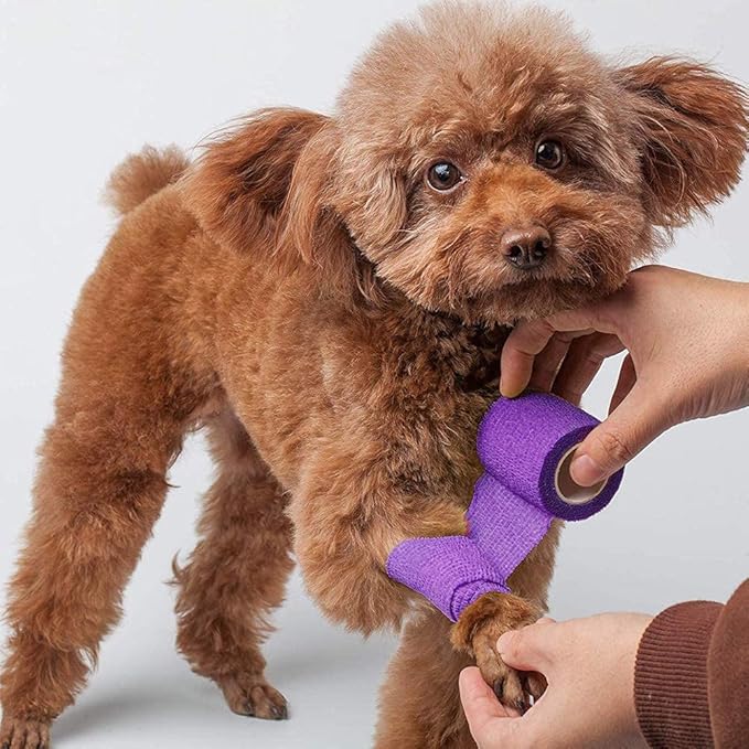 Lotfancy 10 Rolls Self Adhesive Vet Wrap, 2 Inch Cohesive Bandage Wrap for Wound Care, Elastic Pet Tape for Dogs, Cats, Horses, Breathable Medical First Aid Tape for Paw, Leg, Foot, Assorted Colors