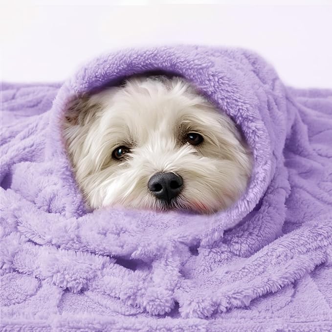 Luciphia Small Dog Blanket Washable Pet Bed Cover Soft Fluffy Puppy Blanket with Premium Fleece 300GSM Cozy Calming Cat Blankets for Indoor Cats Light Purple 41x31 inch
