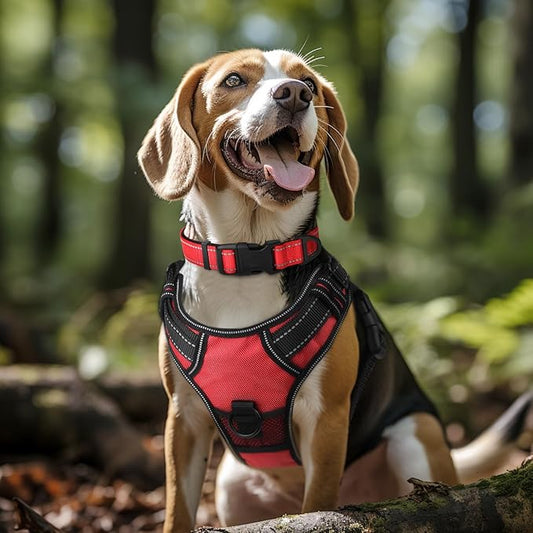 Joytale Reflective Dog Collar, Soft Neoprene Padded, Metal D-Ring, Nylon Pet Collar Adjustable for Extra Large Dogs, Red, XL