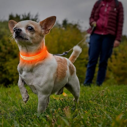 Illumifun Light Up Dog Collar for Small Dogs Cats, Rechargeable LED Dog Collar Glow at Night, Adjustable Nylon LED Cat Collar Light (Orange, X-Small)