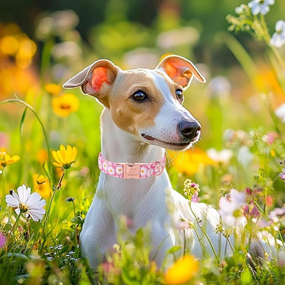 Pink Daisy Dog Collar, Cute Spring Flower Female Pet Collar with Metal Buckel, Soft Adjustable Designer Dog Collars for Small Medium Large Dogs L