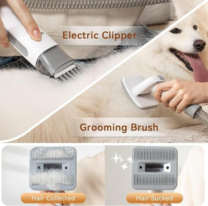 Afloia Electric Clipper