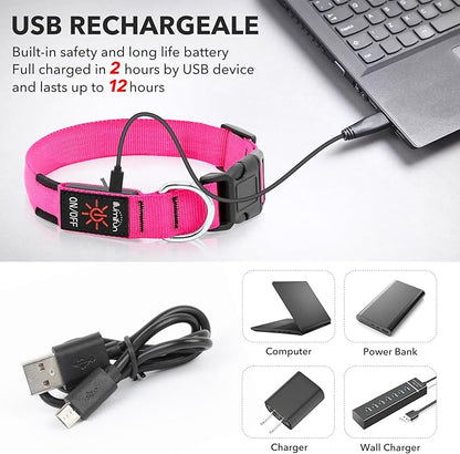 Illumifun Rechargeable LED Dog Collar, Waterproof Light Up Dog Collars Glow in The Dark, Adjustable Safety Collar Light for Dogs Walking Camping (Pink, Medium)