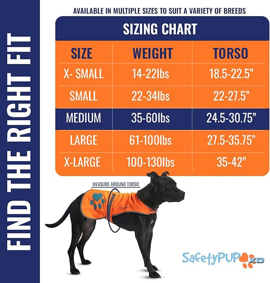 SafetyPUP XD Reflective Dog Vest. Hi-Visibility, Fluorescent Blaze Orange Dog Vest Helps Protect Your Best Friend. Safeguard Your PUP from Motorists & Hunting Accidents, On or Off Leash (Medium)