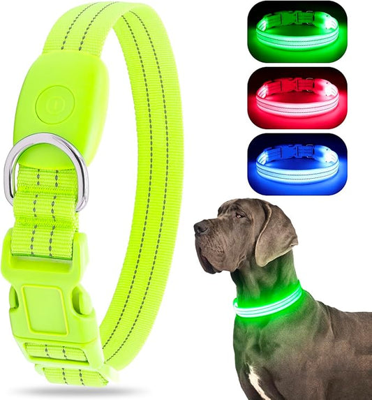 LED Dog Collar, Reflective Glow Collar for Night Safety, USB Rechargeable, Waterproof, Adjustable Flashing (Green, Small)