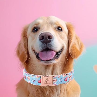 Valentines Dog Collar for Medium Dogs - Cute Blue Heart Pattern Puppy Collar Sweet Valentine Adjustable Heavy Duty Pet Collar with Metal Buckle M