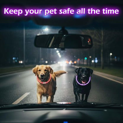 Rechargeable Reflective Pet Gear LED Dog Collar Light Up, Flashing Glowing Illuminated Collar for Night Walking, Neon Pet Collar with Light for Small/Medium/Large Dogs (Purple, 1-Pack)