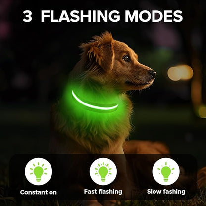 Light Up Dog Collar, Adjustable USB Rechargeable Glow in Dark Dog Collar ，Waterproof Dog Collars for Medium Dogs (Green, Medium)