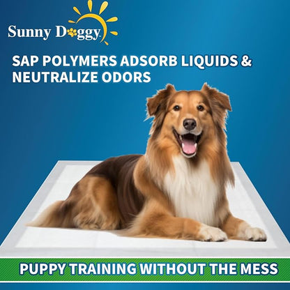 Pee Pads for Dogs, Puppy Pads Pet Training Pads Disposable Upgraded Odor Control, Potty Pads Absorbent and Leak-Proof Dog Housebreaking & Puppy Supplies (30"x36"/12 Count)