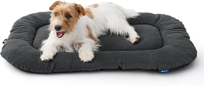 Bedsure Washable Dog Crate Pad for Medium Dogs, Anti-Slip Puppy Kennel Dog Bed for Crate - Ultra Soft Fleece Flat Thin Pet Mat (Not Chew Proof), Grey 29"x18"