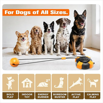 Interactive Suction Cup Dog Toy for Boredom Relief, Tug of War and Self Play with Rope and Rubber Ball, Dog Toys to Keep Them Busy Indoors Or Outdoors (bo)