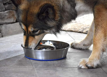 OurPet's DuraPet Slow Feed Premium Stainless Steel Dog Bowl, Silver (2040010301)