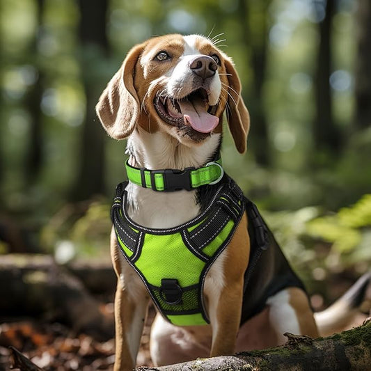Joytale Reflective Dog Collar, Soft Neoprene Padded, Metal D-Ring, Nylon Pet Collar Adjustable for Large Dogs, Green, L