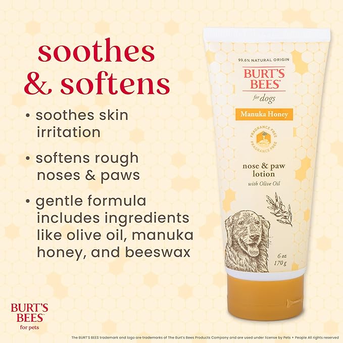 BURT'S BEES FOR PETS Paw & Nose Lotion for Dogs with Manuka Honey and Olive Oil, Soothes Dry Dog Paws -Naturally Derived Ingredients, 6 Oz