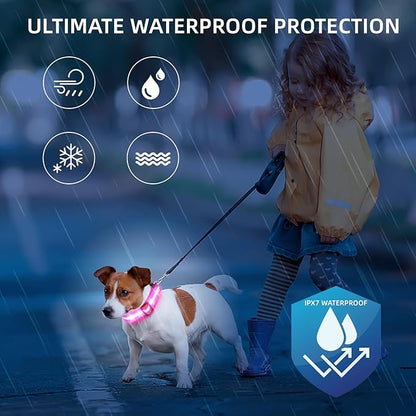 Super Bright LED Dog Collar - Fully Waterproof & Adjustable Glow Collar - USB-C Rechargeable for Night Walking, Safety - Flashing Lighted Collar for Dogs(Pink,L)