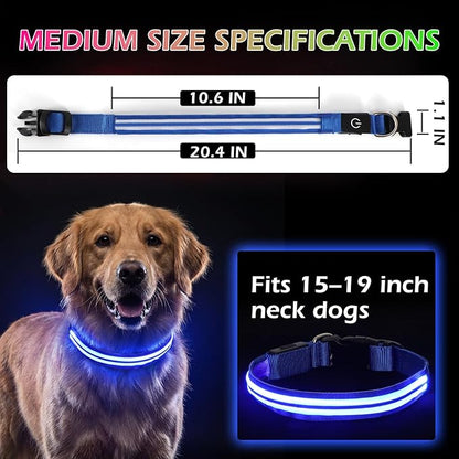 LED Light Up Dog Collar for Night Walking, Rechargeable Safety Glow Illuminated Collar with 3 Modes Flashing, Reflective Adjustable Pet Light for Small/Medium Dogs Puppy 15-19" Neck 1 Pack (Blue)