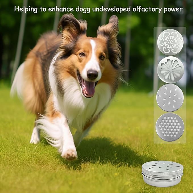 Suartus Dog Scent Work Tins, 24Pcs Dog Scent Training Box,Dog Nose Work Metal Containers,Dog Scent Training Kit,Smell Training Canisters Aluminum Tin Cans with Hollow Lids for Dogs Training (24pcs)