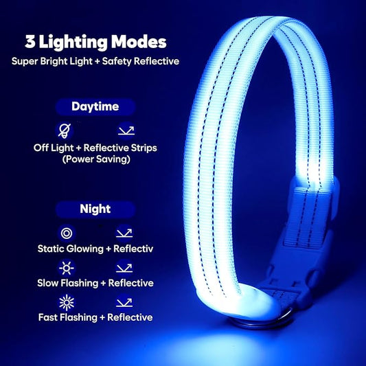 LED Lighted Reflective Dog Collar for Night Safety, USB Rechargeable, Glow Collar for Dogs, Waterproof, Adjustable Flashing (Blue, Medium)