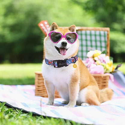 ARING PET Floral Dog Collar, Cute Blue Pink Orange Spring Summer Flower Doggy Pet Collars for Puppy Small Medium Large Girl Female Dogs-XL