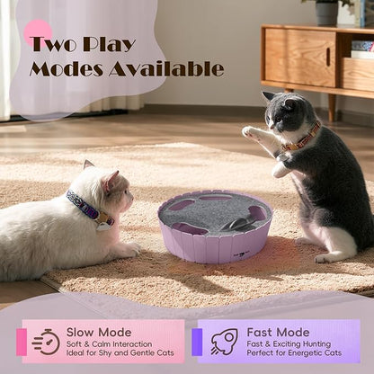 Pawaboo Interactive Cat Toy with Running Mouse, Electronic Motion Cat Toy Automatic Teaser for Indoor Cats, Pop and Play Hide Seek Cats Toys Hunting Mouse for Pet Kitten Play Fun Exercise, Purple