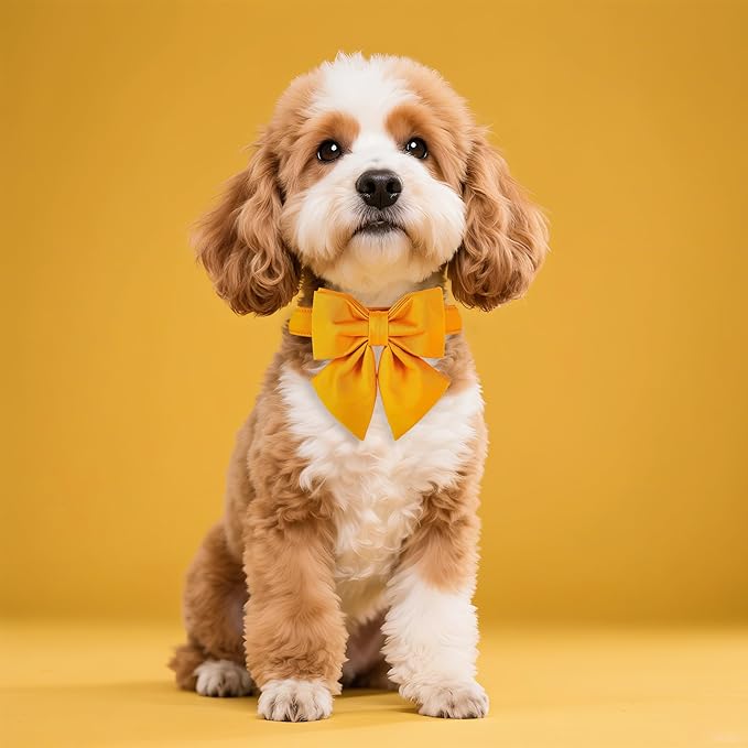 Maca Bates Mango Yellow Dog Collar with Cute Solid Sailor Bow Tie for Extra Large Girl Boy Dogs,Adjustbale Durable Breakaway Soft Collars with Bowtie for Female Male Puppy,Pet with Metal Buckle