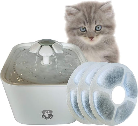 2.0L Pet Fountain Vers 2