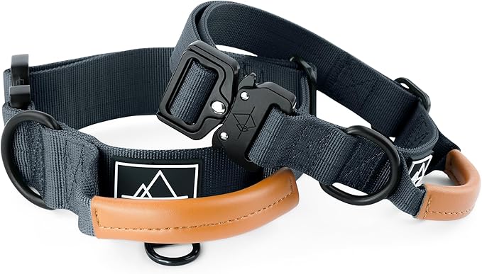 Made to ROAM Premium Explorer Control Collar - Adjustable Heavy Duty Nylon Dog Collar with Quick-Release Metal Buckle and Handle (New York Afterlight, Control Size 3)