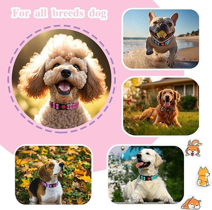 2 Pack Reflective Dog Collars for Medium Large and Small Breed Dogs Male Female,Padded Soft Durable Nylon Neoprene Collar for Puppy Dogs Girl Boy with Quick Release Safety Buckle,Pink,Blue,S