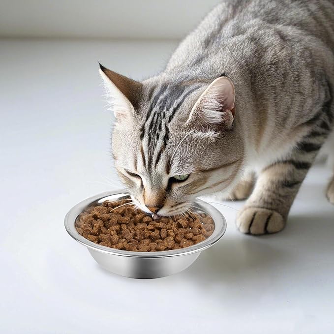 ZUFECY 2-Pack Cat Bowls, Stainless Steel Cat Bowl, Pet Food & Water Dishes, Non-Tip and Easy Clean Kitten Bowls for Small Cats, Indoor/Outdoor Use