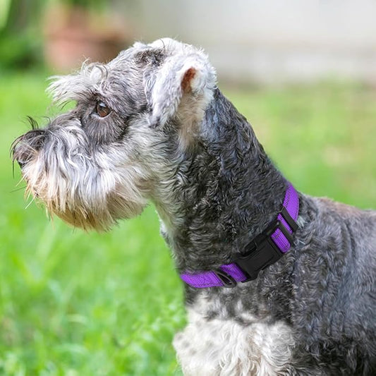 Joytale Reflective Dog Collar,Soft Neoprene Padded Breathable Nylon Pet Collar Adjustable for Small Dogs,Purple,S