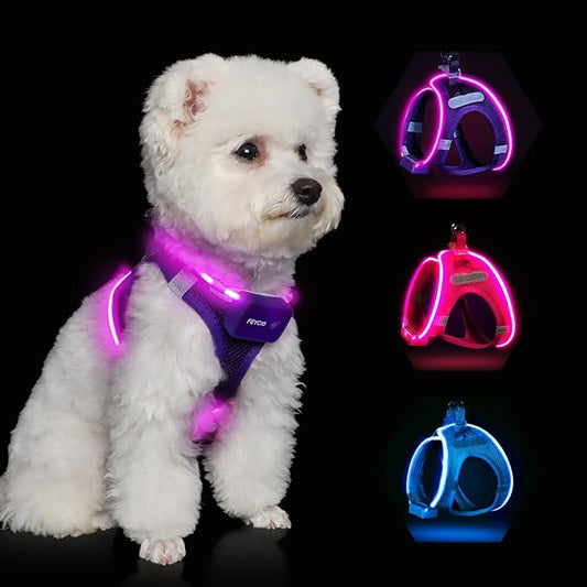 Light Up Dog Harness,Rechargeable LED Dog Harness for Small Medium Large Dogs,Reflective Lighted Safety Vest for Night Walking & Camping,Lightweight & Adjustable,Purple,S