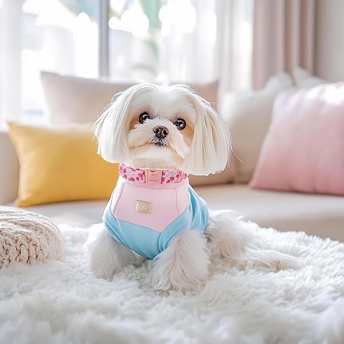 Strawberry Bow Dog Collar, Spring/Summer Pink Girl Dog Collars, Adjustable Heavy Duty Girly Female Dogs Collars for Small Medium Large Dogs with Metal Buckle XS