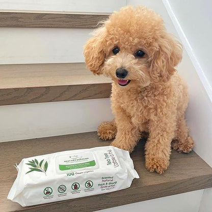 Best Pet Supplies 8" x 9" Large Dog Wipes - Cleaning and Deodorizing for Paws and Coat - Gentle Formula with Tea Tree Vitamin E for Puppies and Cats - 400 Count