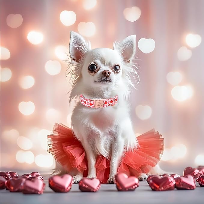 Valentines Dog Collar, Pink Heart Print Girl Dog Collars, Cute Valentine Puppy Collars, Adjustable Heavy Duty Pet Collar for Small Medium Large Dogs with Metal Buckle S