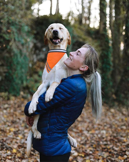 Reflective Dog Bandana Velcro Safety Scarf 2 Pack Orange Dog Reflective Gear