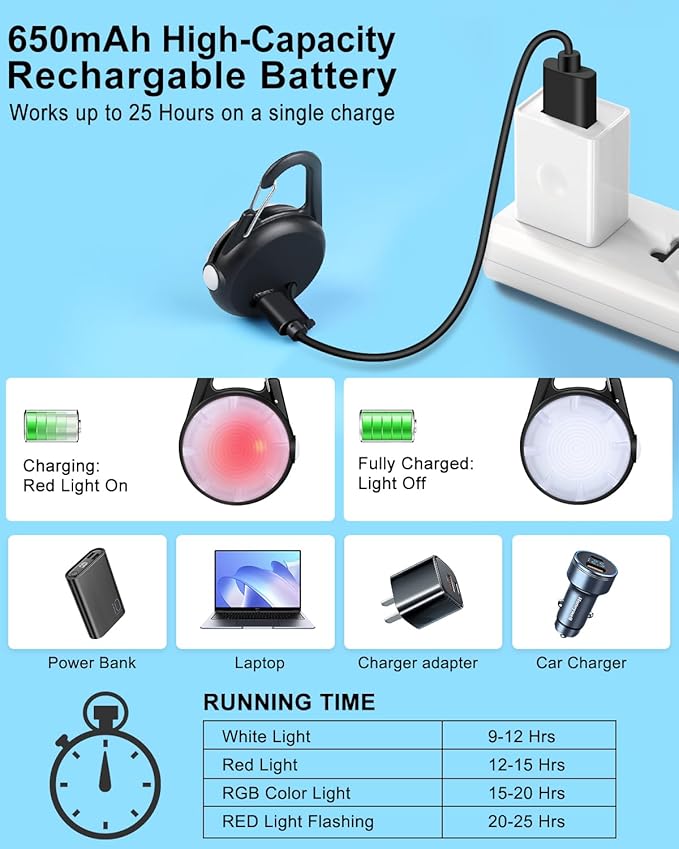 2 Pack Dog Collar Light, 4 Modes Clip On Dog Lights for Night Walking, Glow in The Dark LED Pet Collar Charm, Rechargeable Pet Camping Essentials for Nighttime Running, Cycling, Hiking(Black)