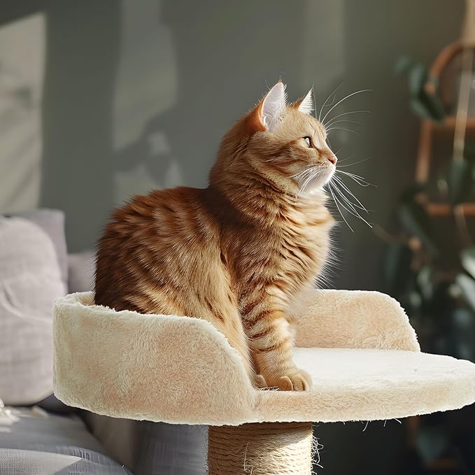 Dansydaisy 2 Pcs 13.39 Inches Semi Edged Cat Tree Replacement Parts Cat Tree Tower Accessories with Hanging Elastic Strings Pom Pom Toys and M8 Screw for Platform Perch Shelves(Creamy White)