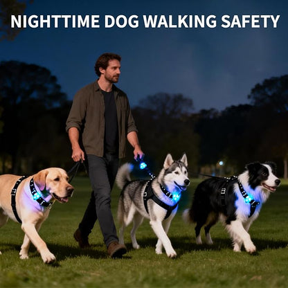 LaRoo LED Dog Collar Light - Waterproof Clip-On 3 Modes, High Visibility for Night Walking/Camping, Pet Safety Light for Small/Medium/Large Dogs (Blue)
