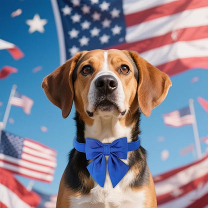 Maca Bates Klein Blue Dog Collar with Cute Solid Sailor Bow Tie for Extra Small Girl Boy Dogs,Adjustbale Durable Breakaway Soft Collars with Bowtie for Female Male Puppy,Pet with Metal Buckle