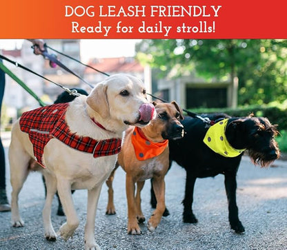 SPOT THE DOG! Reflective Dog Collar - Adjustable Pet Collars, Safe, Durable, Comfortable Dog Walking Accessories for Medium Dog, Hunting Dog, Puppy, Lightweight Boy, Girl Dog Collars (Blaze Orange, M)