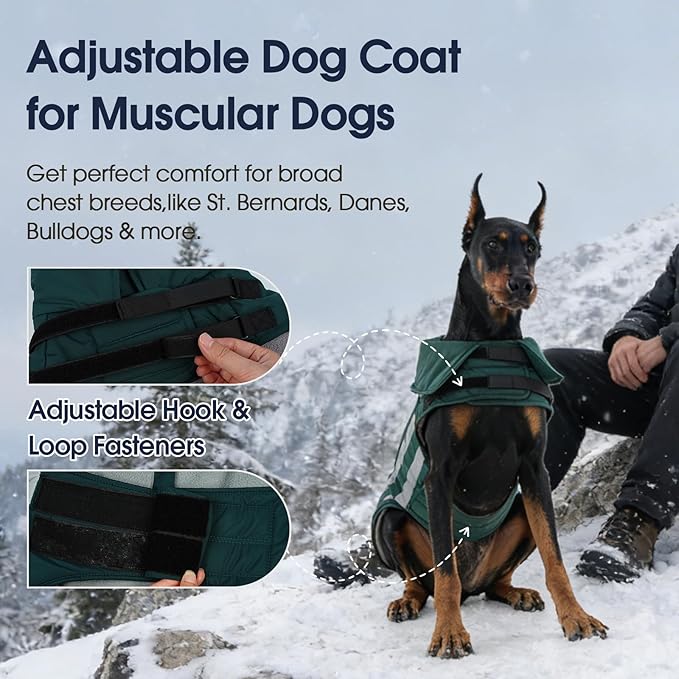 IECOii Warm Dog Coat - Reflective Waterproof Dogs Jackets Windproof Snow Jacket for for Deep Chest Breeds, Beagle & Corgi, Adjustable Warm Vest for Walking, Camping, Hiking, Green, Sizes L