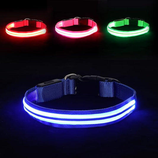 LED Light Up Dog Collar for Night Walking, Rechargeable Safety Glow Illuminated Collar with 3 Modes Flashing, Reflective Adjustable Pet Light for Small/Medium Dogs Puppy 15-19" Neck 1 Pack (Blue)