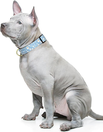 Reflective Dog Collar for Medium Dogs, Cute Daisy Theme Adjustable Heavy-Duty Nylon Puppy Collar for Boy and Girl Female, Soft Pet Accessories with Quick Release Buckle, Neck 14-20", Blue